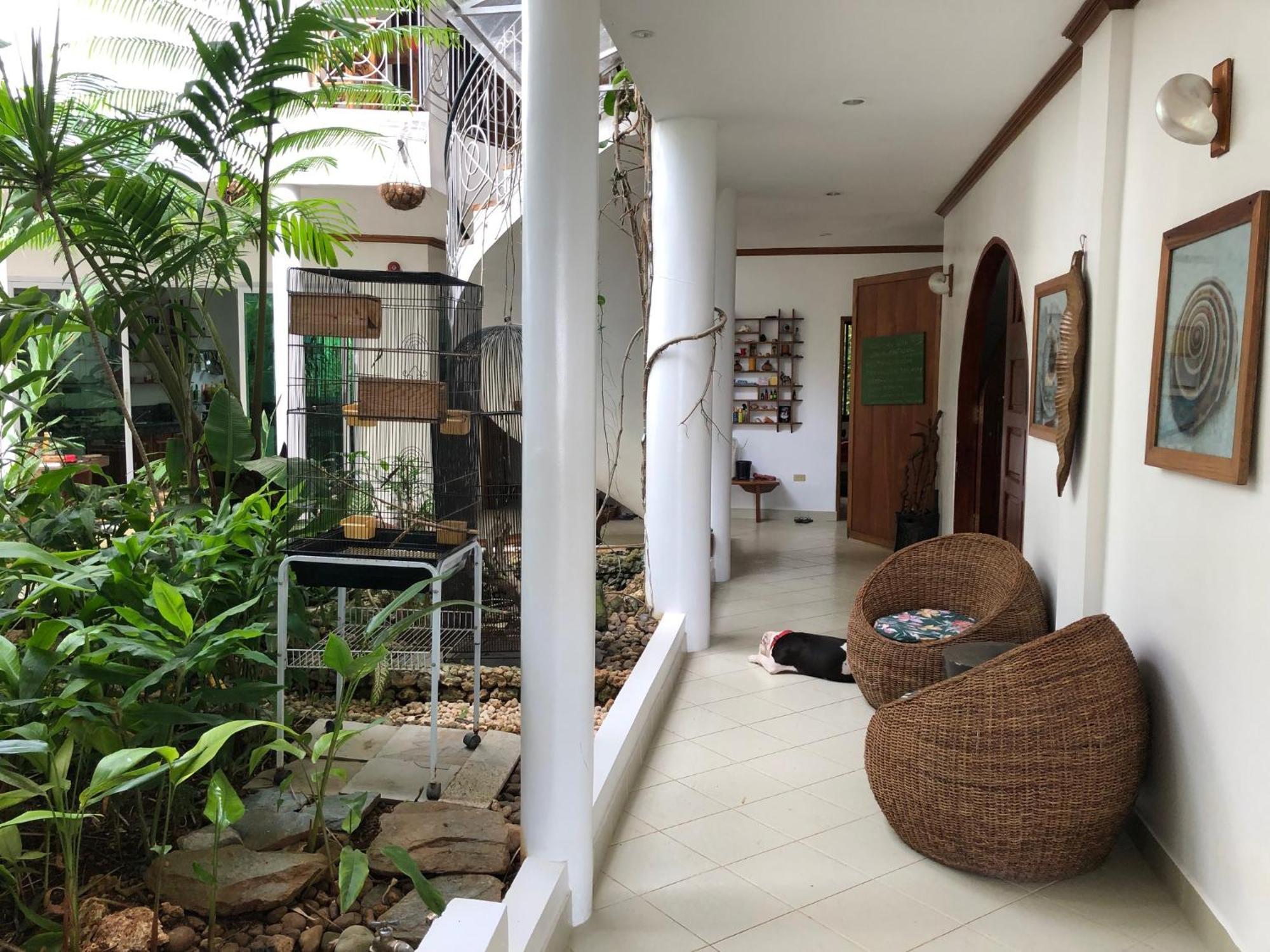 Argonauta Boracay And