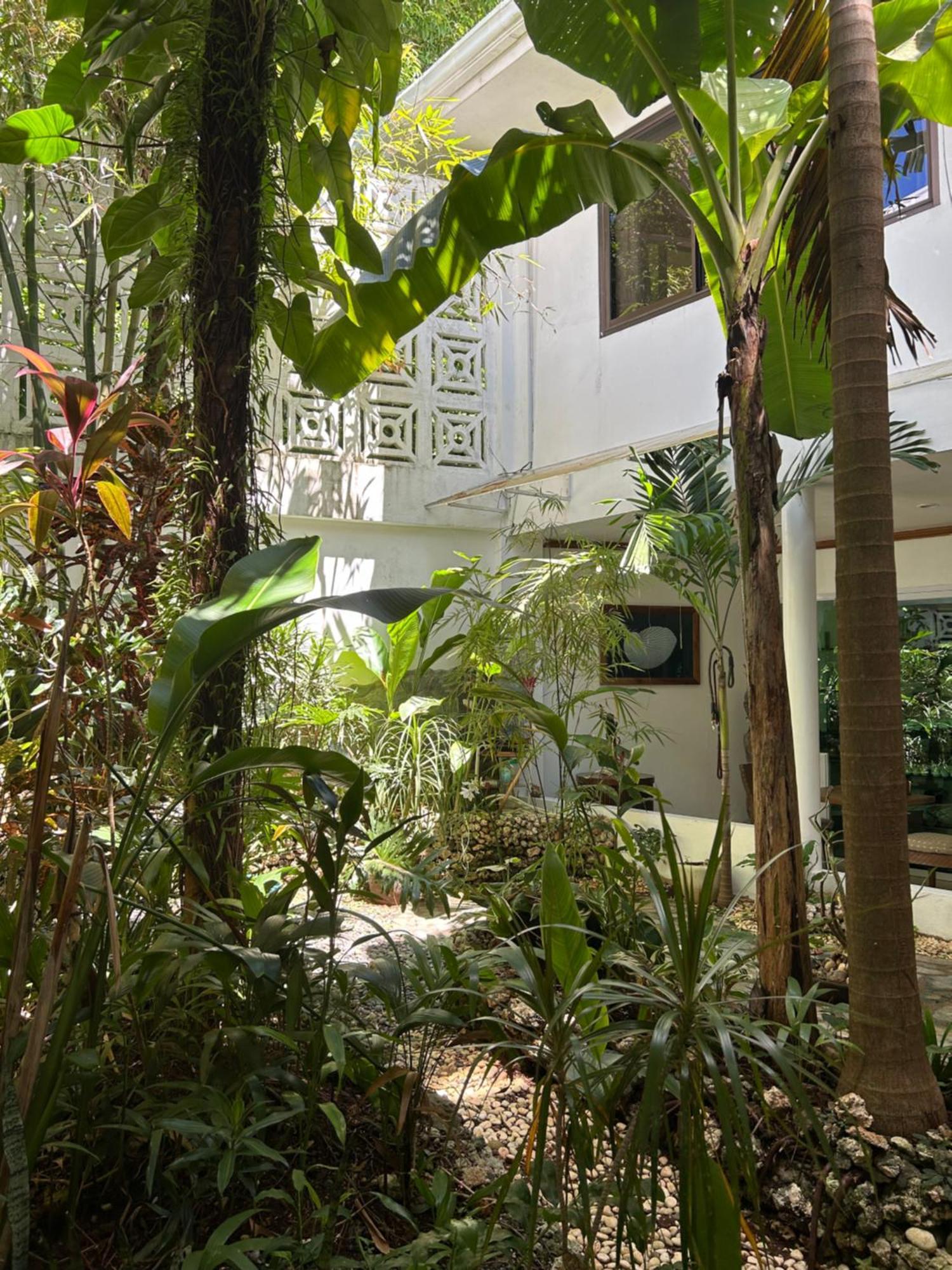 Apartment Argonauta Boracay And Boracay Island