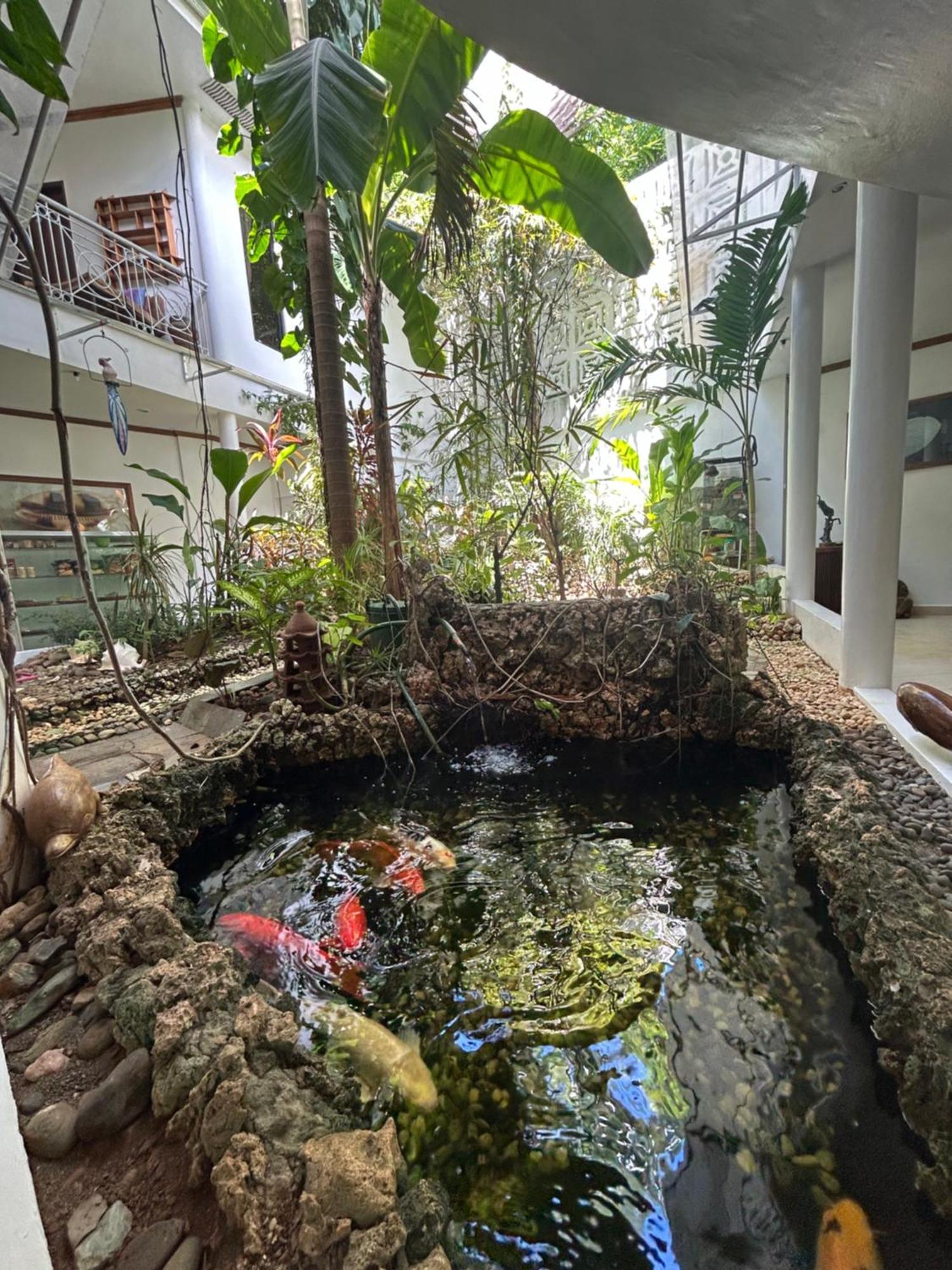 Argonauta Boracay And Apartment *