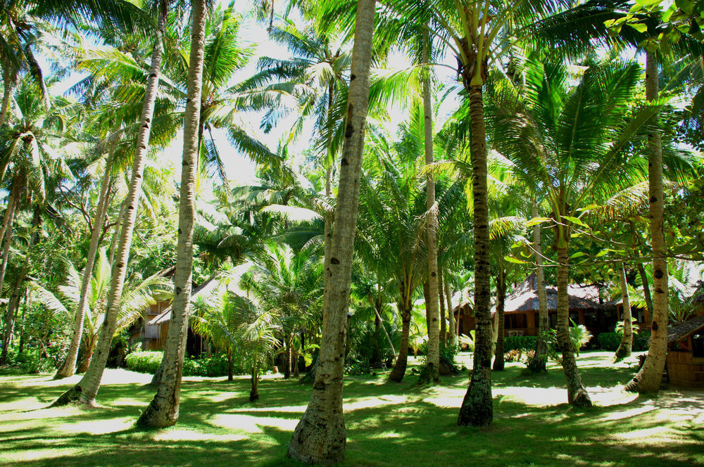Boracay Huts 2* Boracay Island