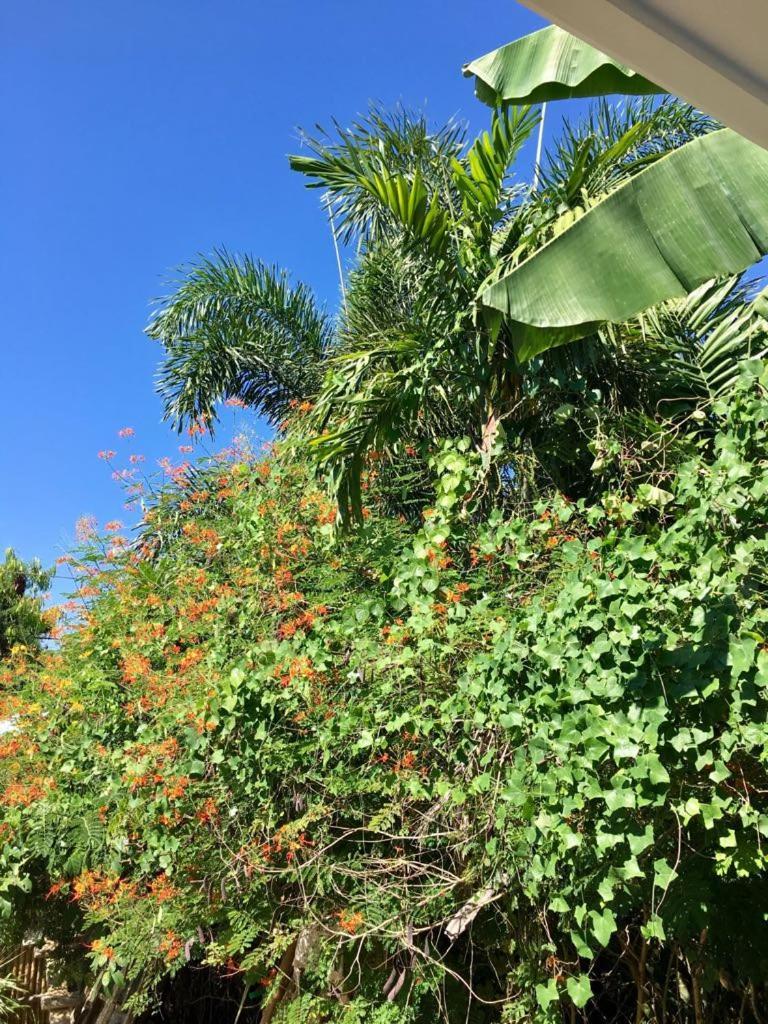 Kasiyahan House With Private Swimming Pool Apartment