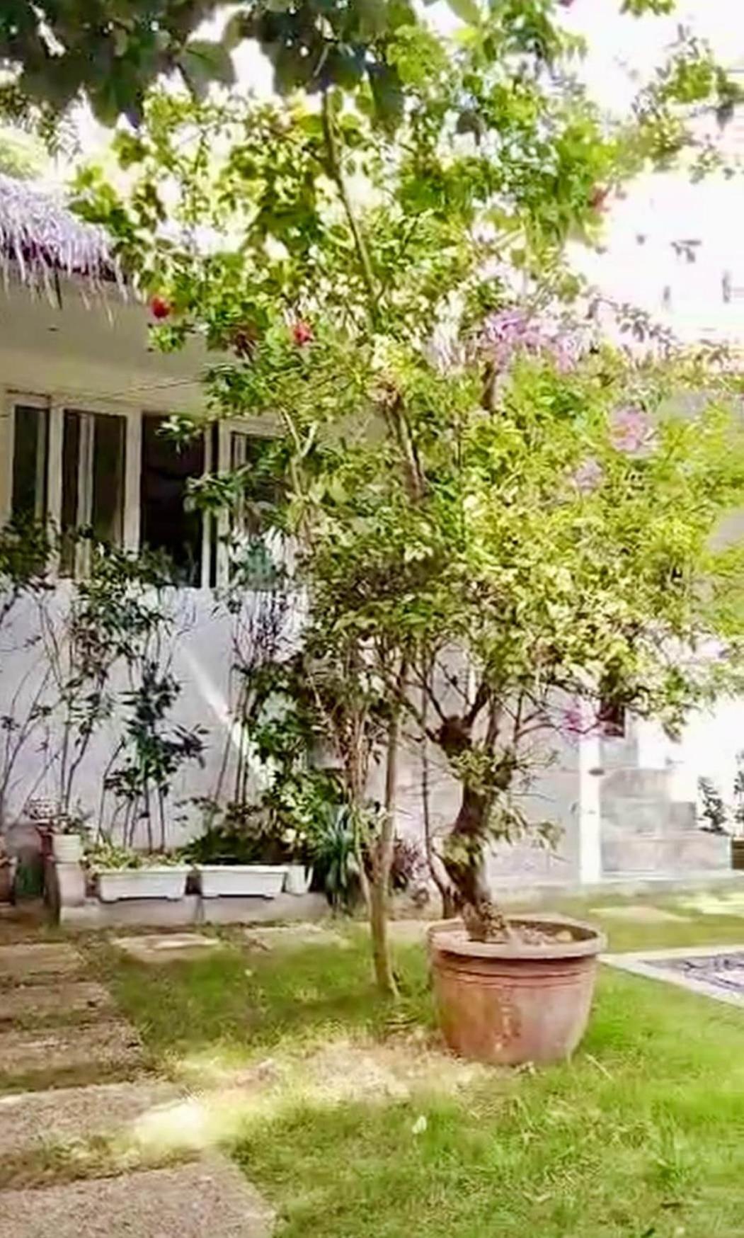 Kasiyahan House With Private Swimming Pool Apartment *