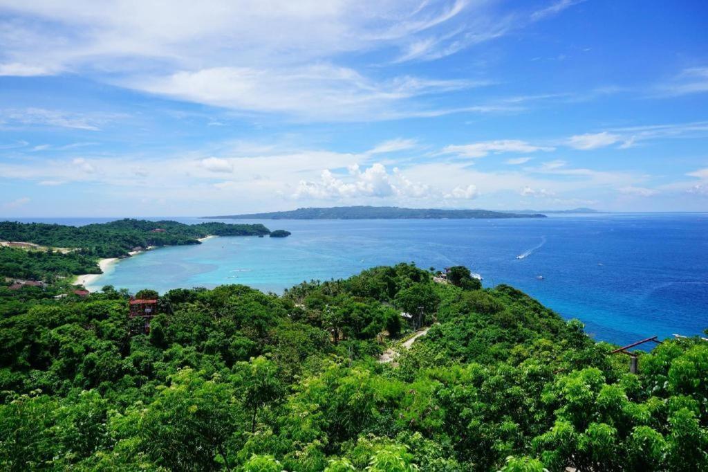 Aloe De Diniwid 3*